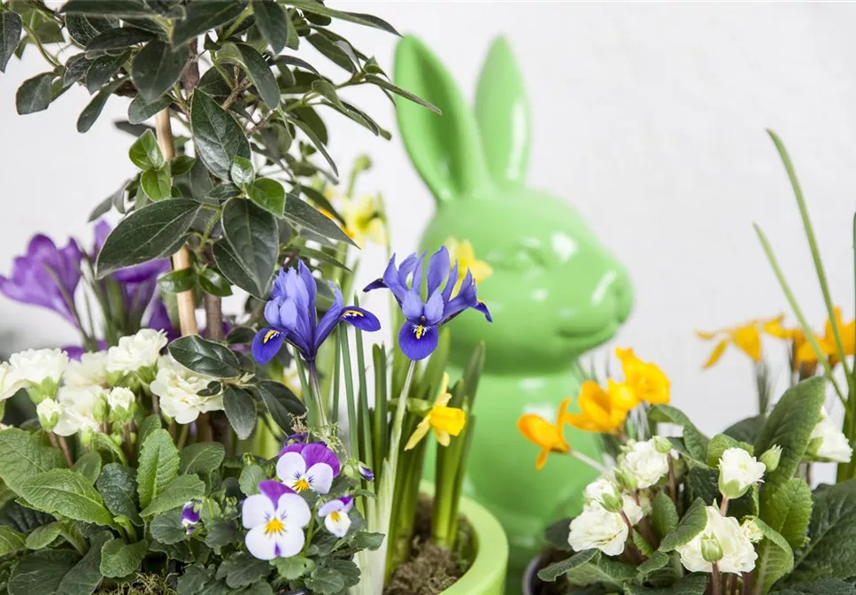 DAS GARTENPARADIES FüR OSTERHASEN