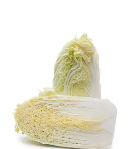 Brassica rapa subsp. pekinensis